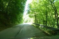 novy_zeland_a_drzava_2011_05_17_p1000461.jpg: 161k (2011-05-17 15:38)