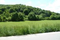 novy_zeland_a_drzava_2011_05_17_p1000462.jpg: 146k (2011-05-17 15:38)