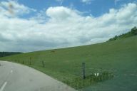 novy_zeland_a_drzava_2011_05_17_p1000464.jpg: 72k (2011-05-17 15:39)