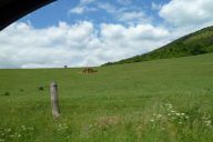 novy_zeland_a_drzava_2011_05_17_p1000465.jpg: 99k (2011-05-17 15:39)