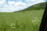 novy_zeland_a_drzava_2011_05_17_p1000466.jpg: 116k (2011-05-17 15:39)