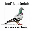 fun_bud_jak_holub_ser_na_vsechno.jpg: 20k (2012-04-23 12:16)