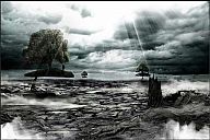 mariusz_zawadzki_02.jpg: 32k (2012-12-24 15:16)