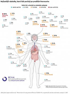 covid_2021-11-29_long_haul.gif: 64k (2021-11-29 10:42)